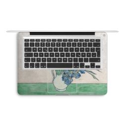 Foils for Laptops matt