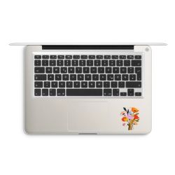 Foils for Laptops matt