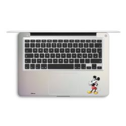 Foils for Laptops matt