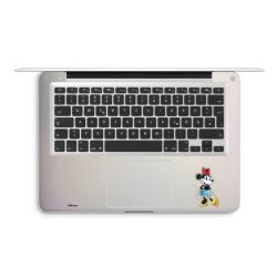 Foils for Laptops matt