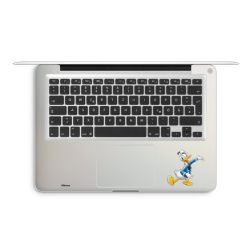 Foils for Laptops matt