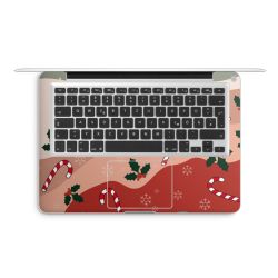 Foils for Laptops matt