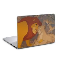 Foils for Laptops matt