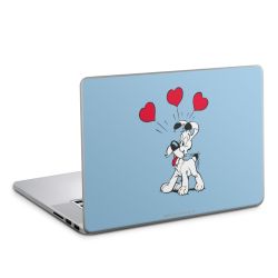 Folien für Laptops matt