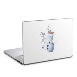 Foils for Laptops matt