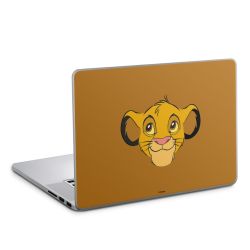 Foils for Laptops matt