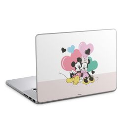 Foils for Laptops matt