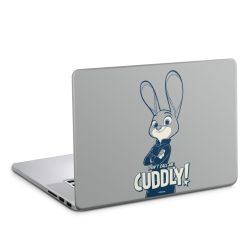 Foils for Laptops matt