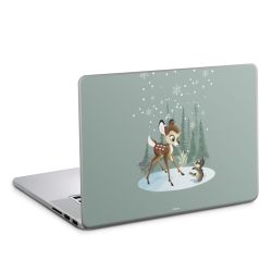 Foils for Laptops matt