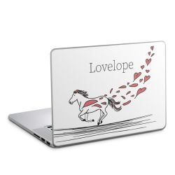 Foils for Laptops matt