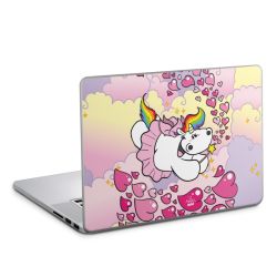 Folien für Laptops matt