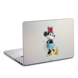 Foils for Laptops matt