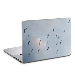 Foils for Laptops matt