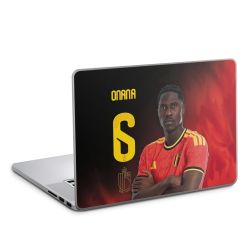 Foils for Laptops matt