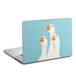 Foils for Laptops matt