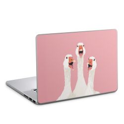 Foils for Laptops matt