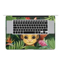 Foils for Laptops matt