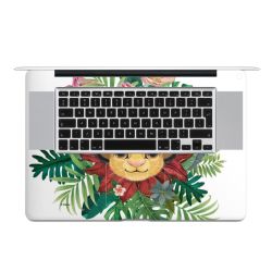 Foils for Laptops matt