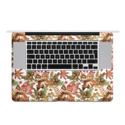 Foils for Laptops matt