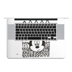 Foils for Laptops matt