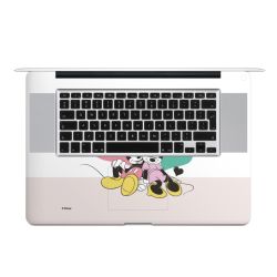 Foils for Laptops matt