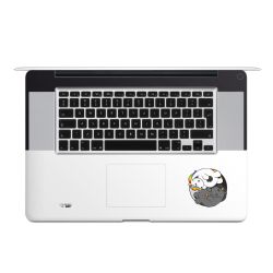 Folien für Laptops matt