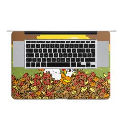 Folien für Laptops matt