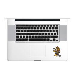 Folien für Laptops matt