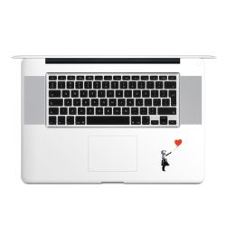 Foils for Laptops matt