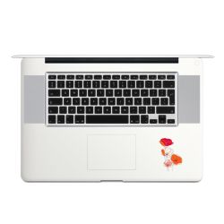 Foils for Laptops matt