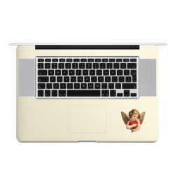 Foils for Laptops matt