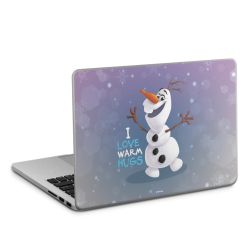 Foils for Laptops matt