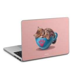 Foils for Laptops matt