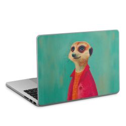 Foils for Laptops matt