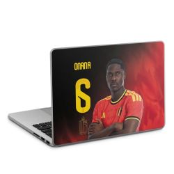 Foils for Laptops matt