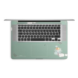 Foils for Laptops matt