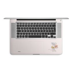 Foils for Laptops matt