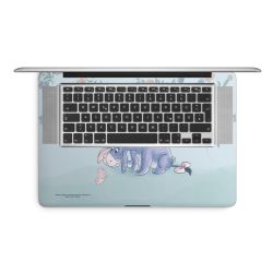 Foils for Laptops matt