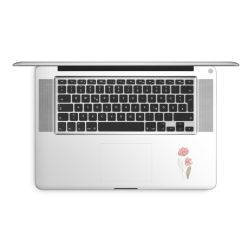 Foils for Laptops matt