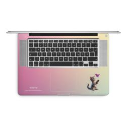 Foils for Laptops matt