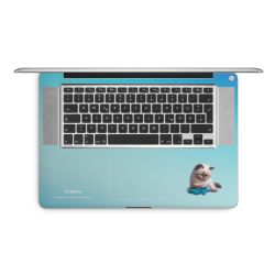 Foils for Laptops matt