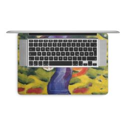 Foils for Laptops matt