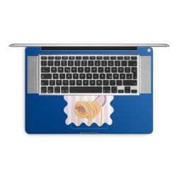 Foils for Laptops matt