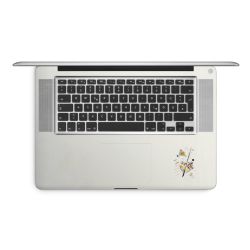 Foils for Laptops matt