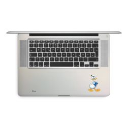 Foils for Laptops matt