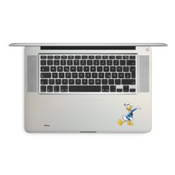 Foils for Laptops matt