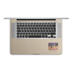 Foils for Laptops matt