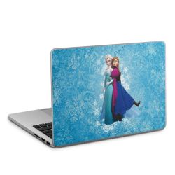 Foils for Laptops matt