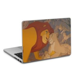 Foils for Laptops matt