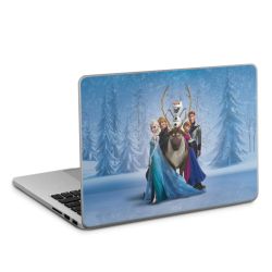 Foils for Laptops matt